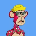 V4Apes