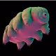 Tardigrades