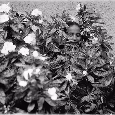 Sudden Flowers by Eric Gottesman
