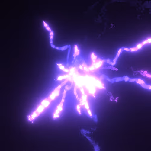 The Fireworks