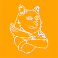 SPACE DOGE Collection