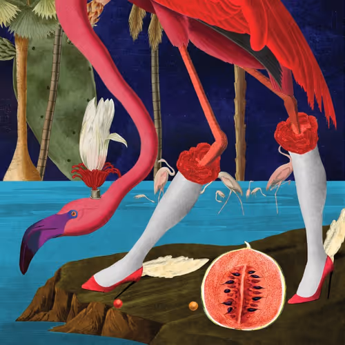 Birds of Solis by Varvara Alay