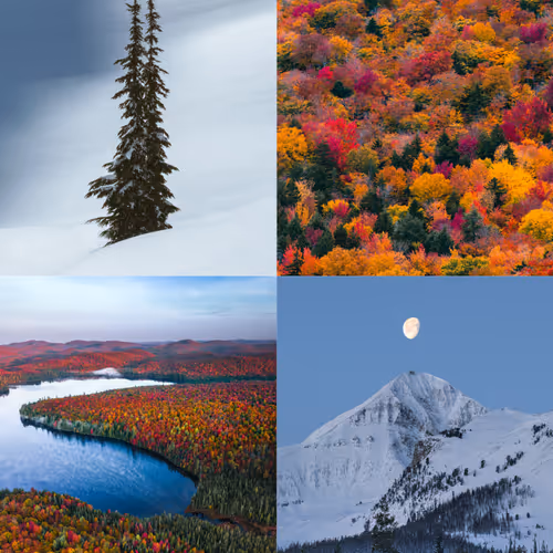 8 Week Editions by Chad Torkelsen