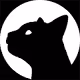 The _kitteh Collection