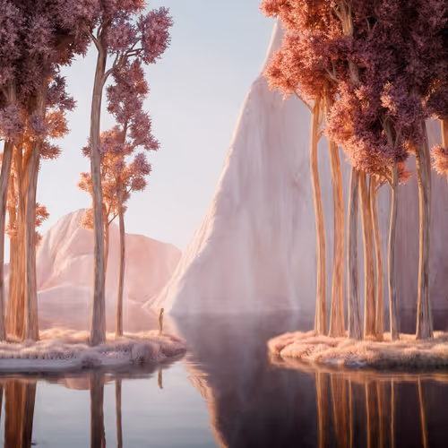 reflections | mae