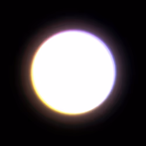 HODL by BOUZE