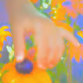 oshi's music