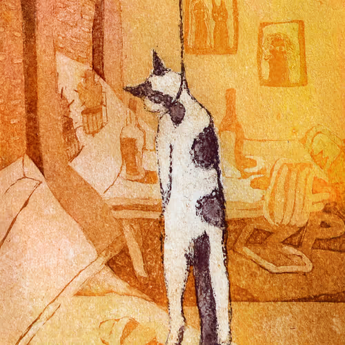 Hanging cat