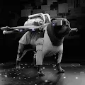 Cyborg86 CyDog NFT
