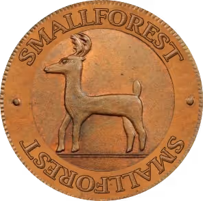 smallforest higley