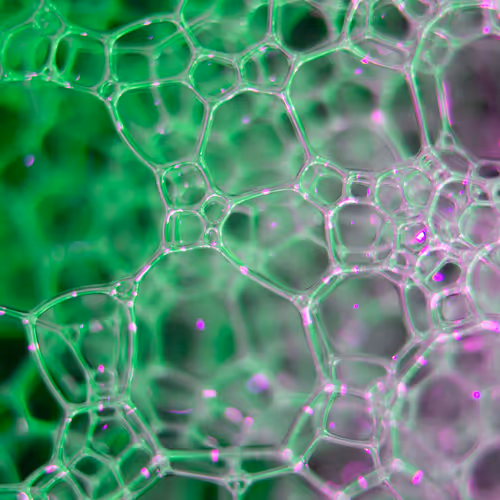 Abstract World of Soap Bubbles by KAPLINSKIY