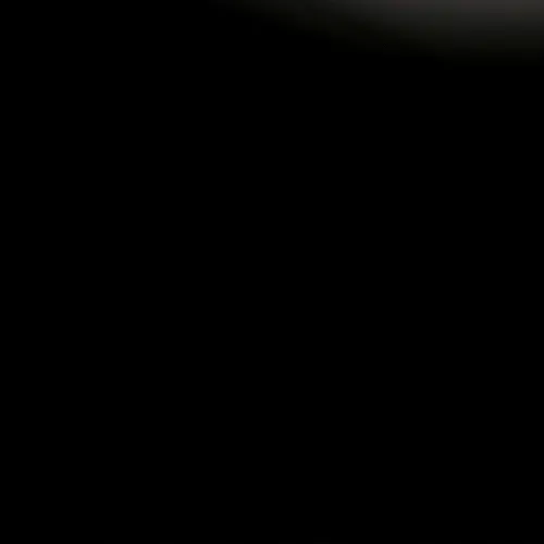 Cryptoguzgan