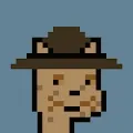 CryptoCatPunks by StudioModuler