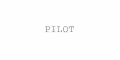 Pilot Project