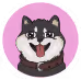 Pochi Inu NFT Genesis Collection