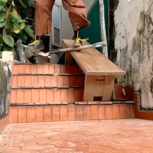!TRICKS ON OBJECTS!