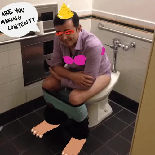 Toilet Vees