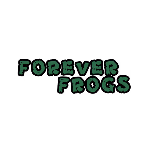 Forever Frogs: The Egg