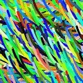 Lucid Paths