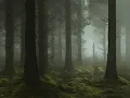The Unknown - by Neil Burnell