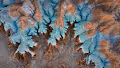 EARTH // The First Generative Art Project