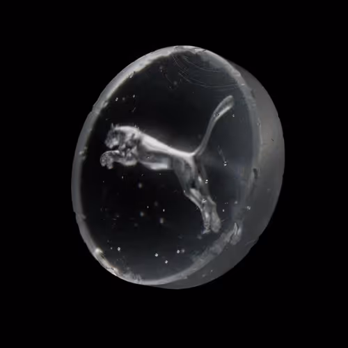 PUMA Nitro Token OFFICIAL