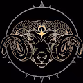 Oracle (official)