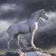 In Motion art