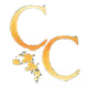Corrosives Creations