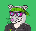 WhatTheFoxes