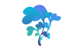 NuBloom Fractal