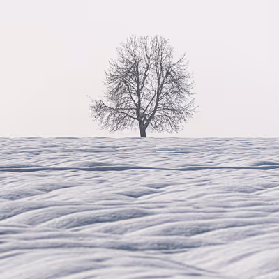 A Layer Of Life