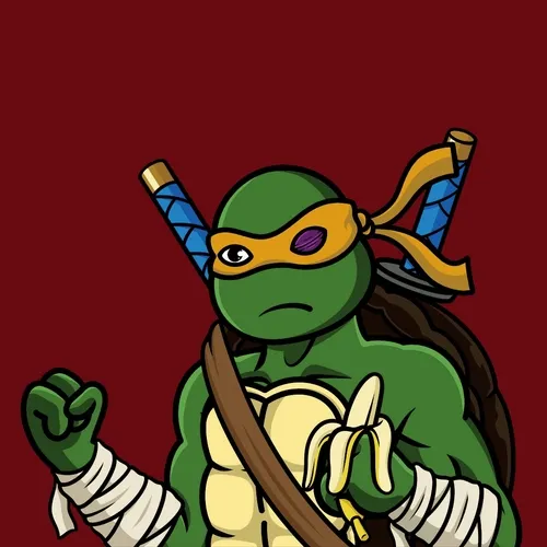 TurtlesNFTs