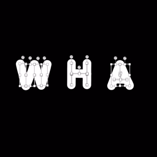 I AM HODLING by WHA