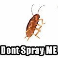 CockCockCOCKROACH