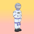 The Wrapped Companion - old