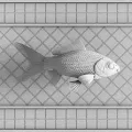 CryptoFish Genesis