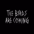 The BirdHouse: Early Birds