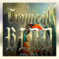 TROPICAL BIRD - Siri Seiko / Studio_Dad
