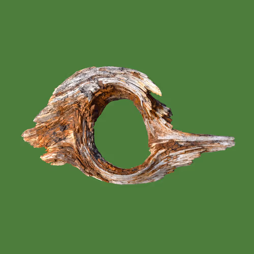 The Gnothole