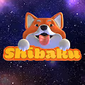 The Real Shibaku
