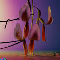 Flume x Jonathan Zawada