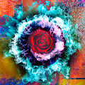 Series 01