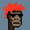 APE PUNKS NFTS