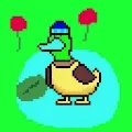 DelightfulDucks