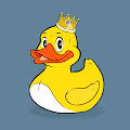 Lucky Ducks