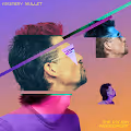 Mystery Mullet