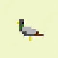 The Crypto Pigeons