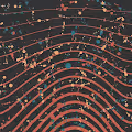 processed (art): manifest