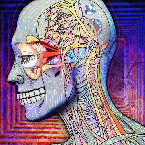 Patchworks Art